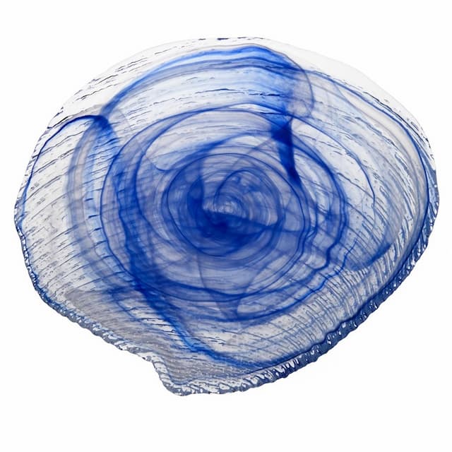 Тарелка ARDACAM Clamocs ARD 6880.64 29x30 см h 3,5 см (стекло, цвет / декор сине-белый)